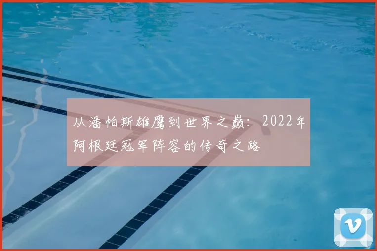 从潘帕斯雄鹰到世界之巅:2022年阿根廷冠军阵容的传奇之路