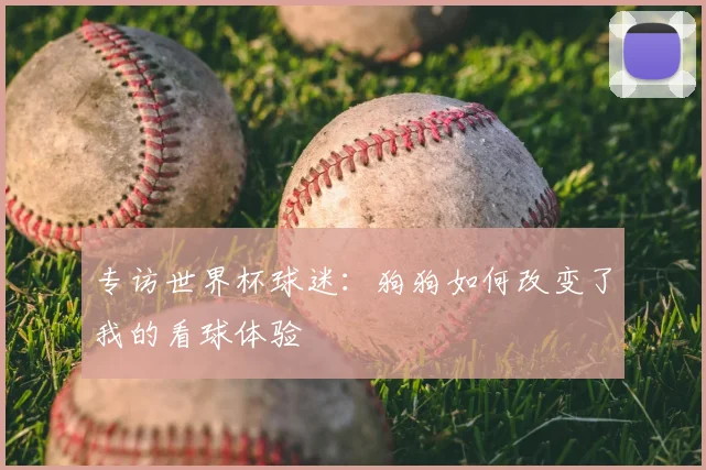 专访世界杯球迷:狗狗如何改变了我的看球体验