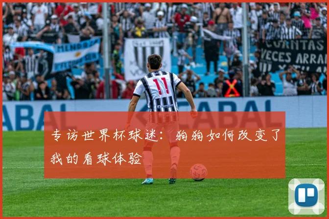 专访世界杯球迷:狗狗如何改变了我的看球体验