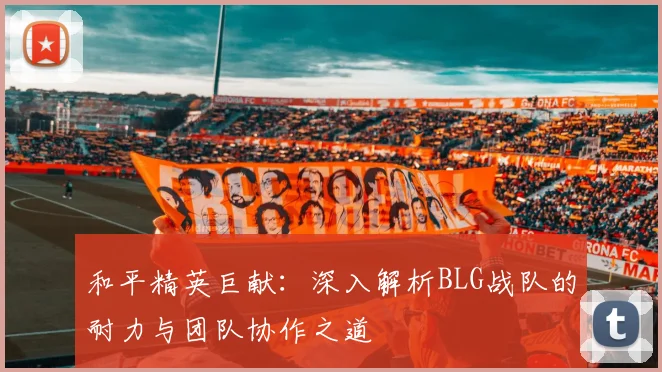 和平精英巨献:深入解析BLG战队的耐力与团队协作之道