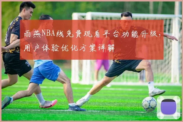 雨燕NBA线免费观看平台功能升级，用户体验优化方案详解