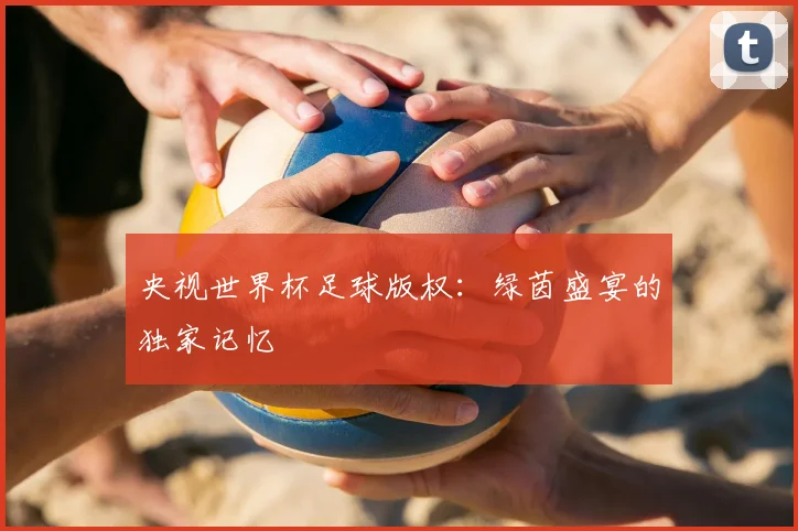 央视世界杯足球版权:绿茵盛宴的独家记忆