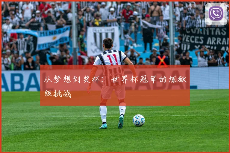 从梦想到奖杯:世界杯冠军的炼狱级挑战