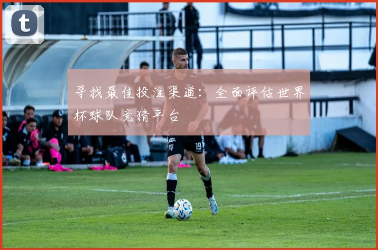 寻找最佳投注渠道:全面评估世界杯球队竞猜平台