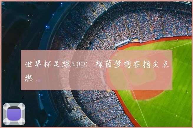 世界杯足球app:绿茵梦想在指尖点燃