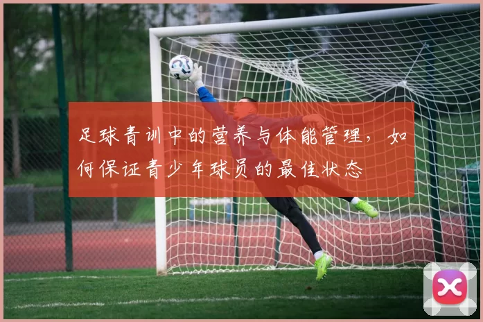 足球青训中的营养与体能管理，如何保证青少年球员的最佳状态