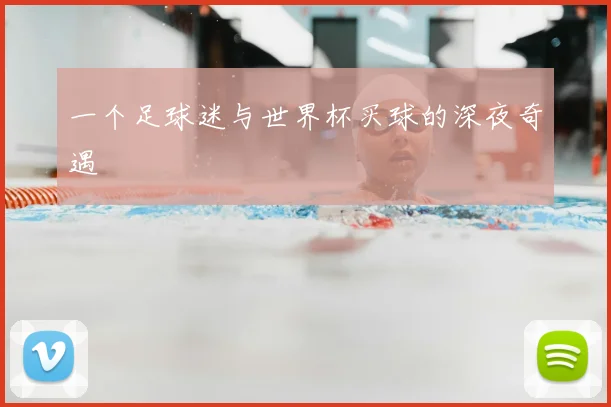 一个足球迷与世界杯买球的深夜奇遇
