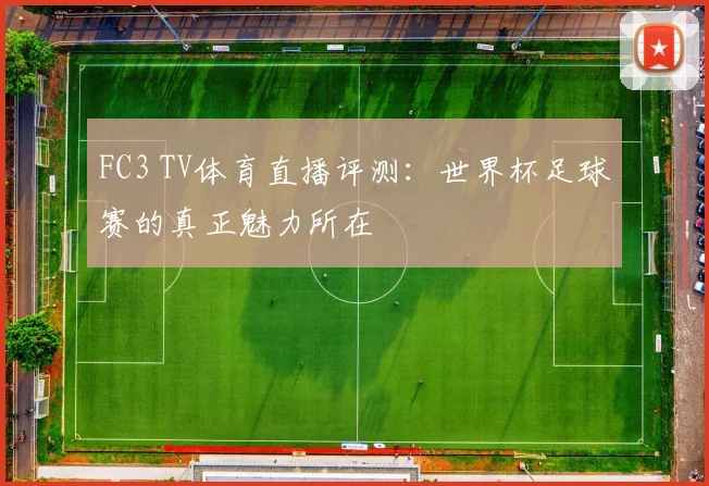 FC3 TV体育直播评测:世界杯足球赛的真正魅力所在
