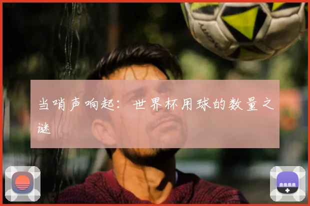 当哨声响起：世界杯用球的数量之谜